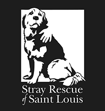 The Stray Rescue of St. Louis